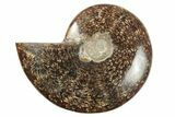 4.5" Polished Ammonite Fossil - Madagascar - #199197-1